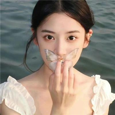 我的鄂尔多斯